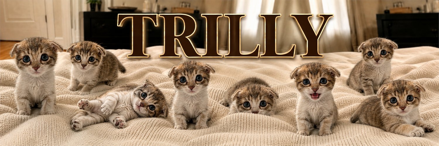A lineup of Trilly kittens on a cream knit blanket with gold TRILLY lettering